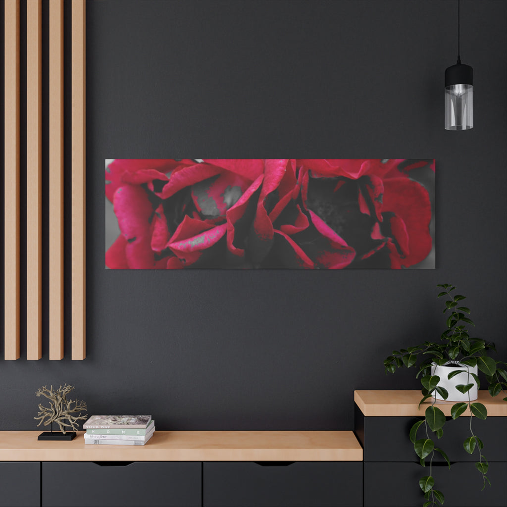 Red Rose Close-Up Matte Canvas Wall Art – Romantic Floral Stretched Canvas
