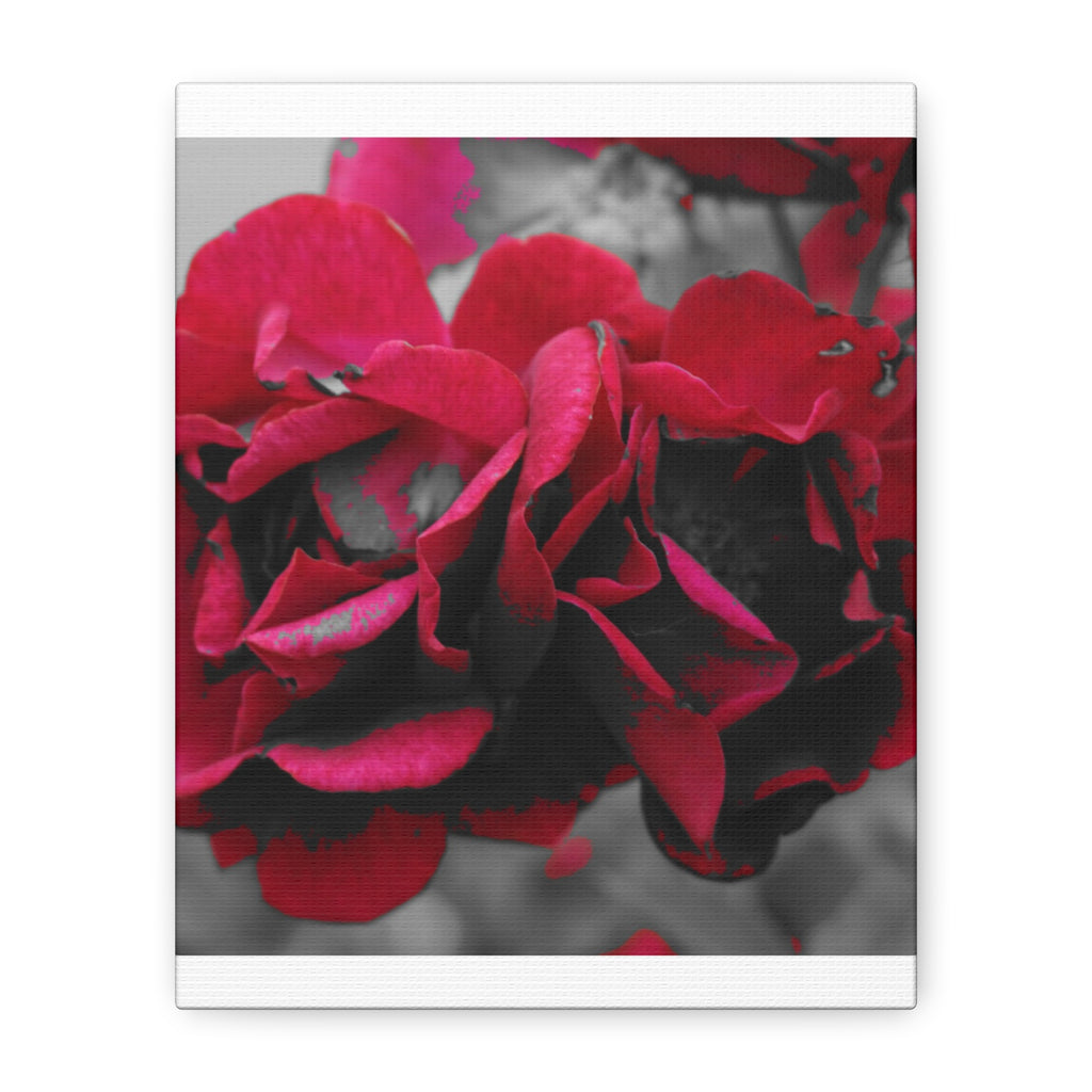 Red Rose Close-Up Matte Canvas Wall Art – Romantic Floral Stretched Canvas