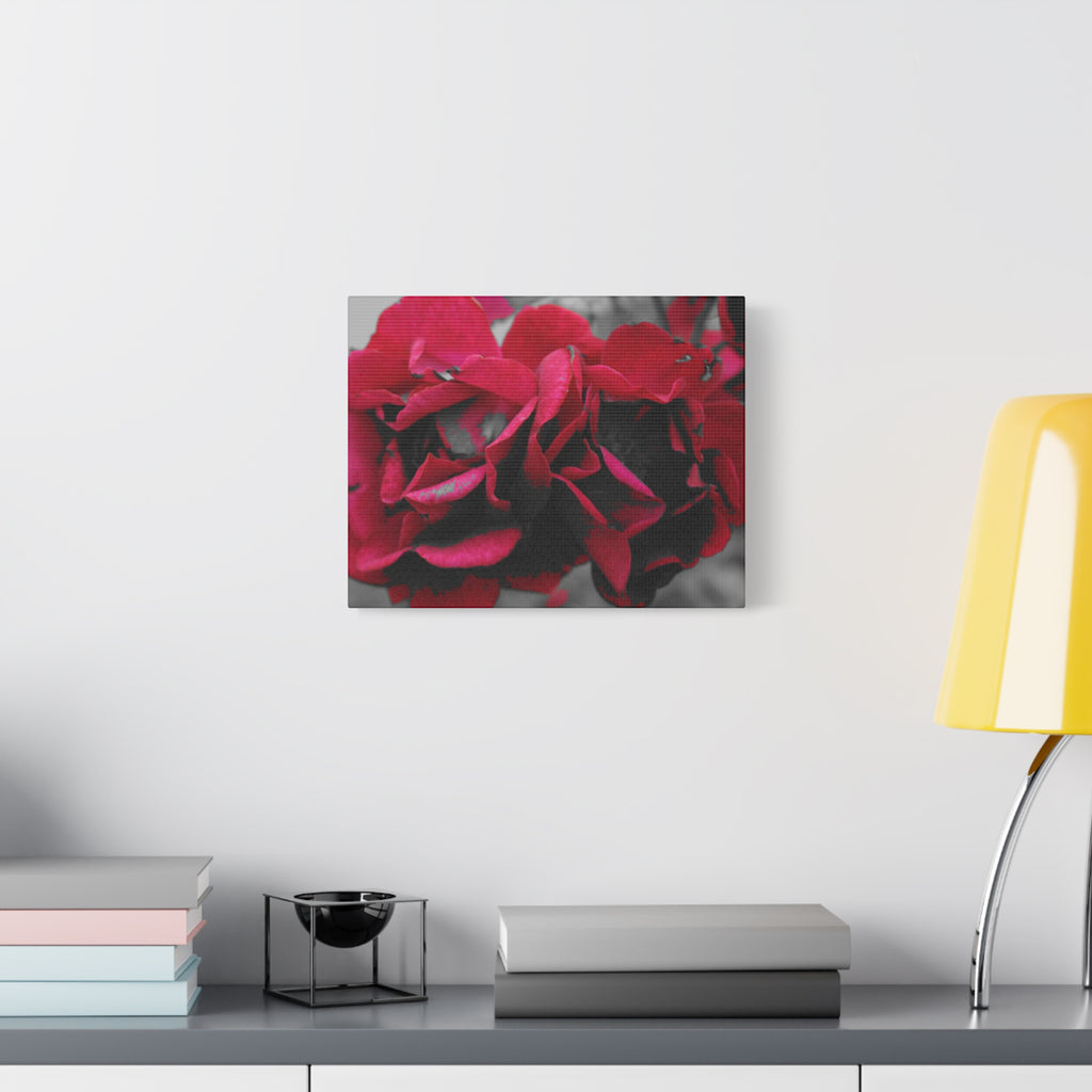 Red Rose Close-Up Matte Canvas Wall Art – Romantic Floral Stretched Canvas