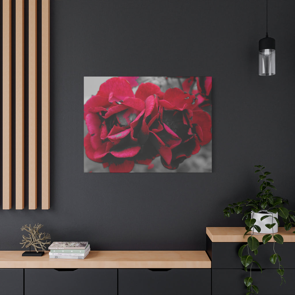 Red Rose Close-Up Matte Canvas Wall Art – Romantic Floral Stretched Canvas