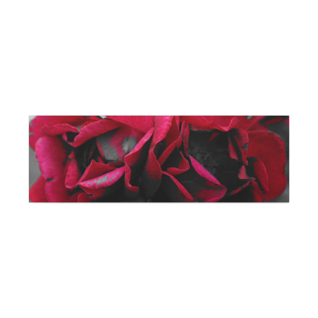Red Rose Close-Up Matte Canvas Wall Art – Romantic Floral Stretched Canvas