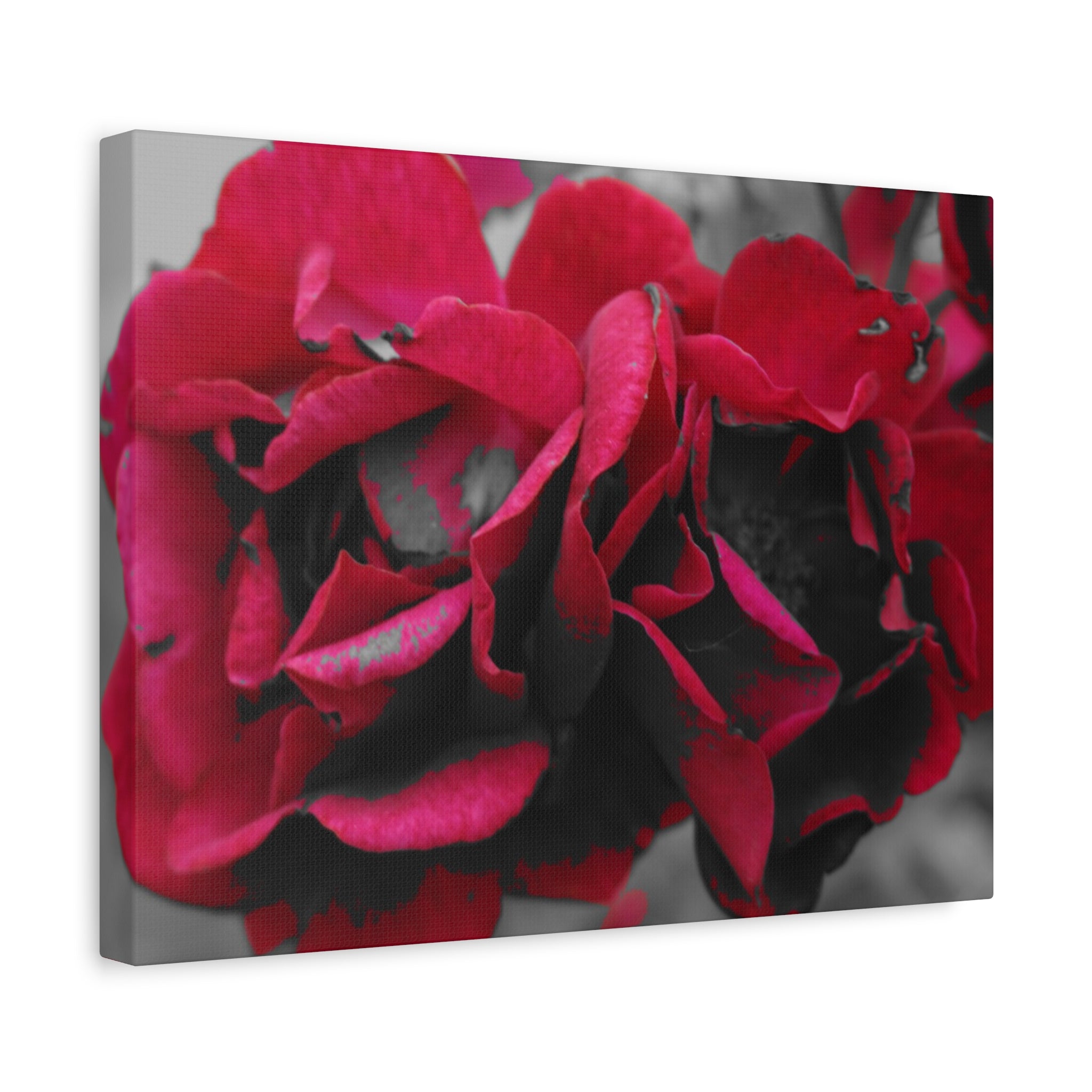 Red Rose Close-Up Matte Canvas Wall Art – Romantic Floral Stretched Canvas