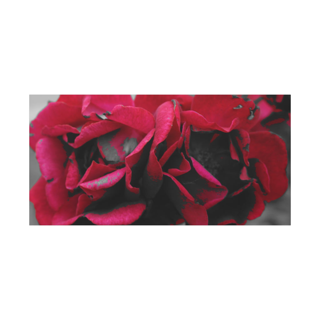 Red Rose Close-Up Matte Canvas Wall Art – Romantic Floral Stretched Canvas