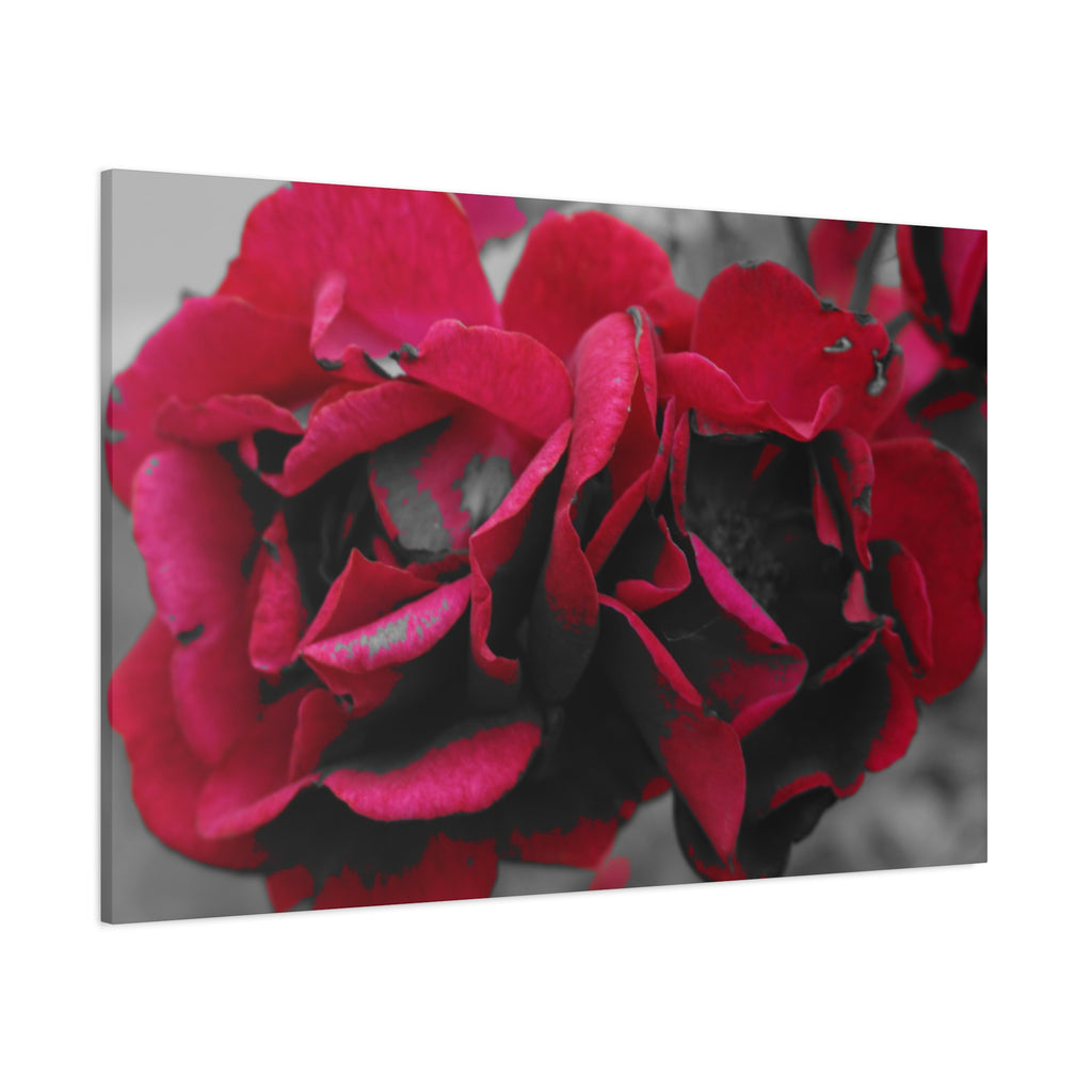 Red Rose Close-Up Matte Canvas Wall Art – Romantic Floral Stretched Canvas