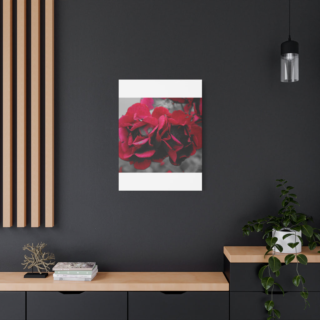Red Rose Close-Up Matte Canvas Wall Art – Romantic Floral Stretched Canvas