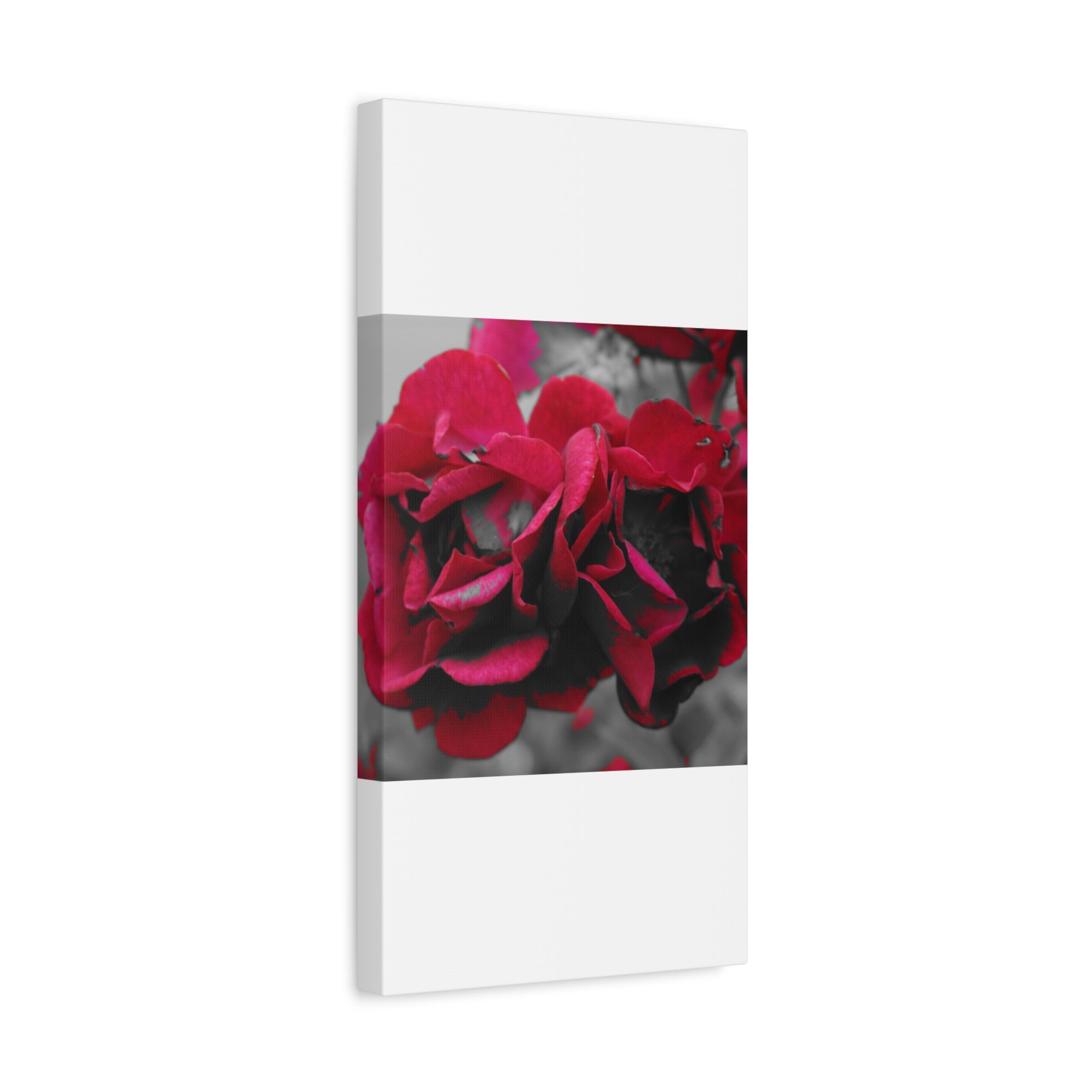 Red Rose Close-Up Matte Canvas Wall Art – Romantic Floral Stretched Canvas