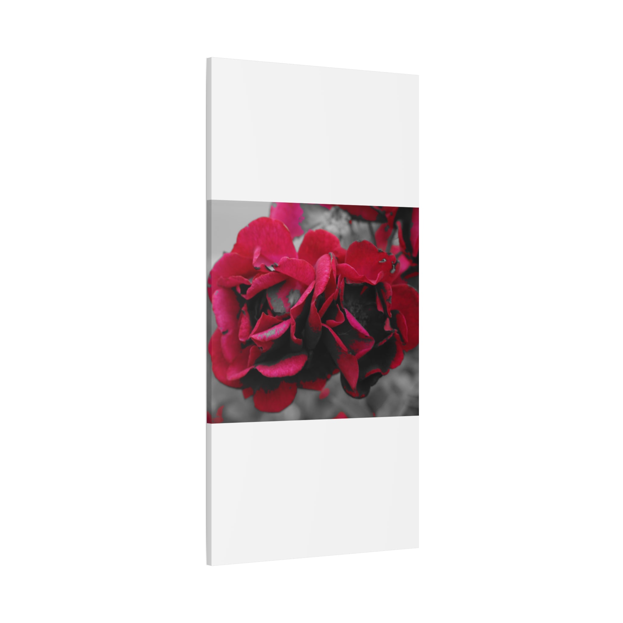 Red Rose Close-Up Matte Canvas Wall Art – Romantic Floral Stretched Canvas