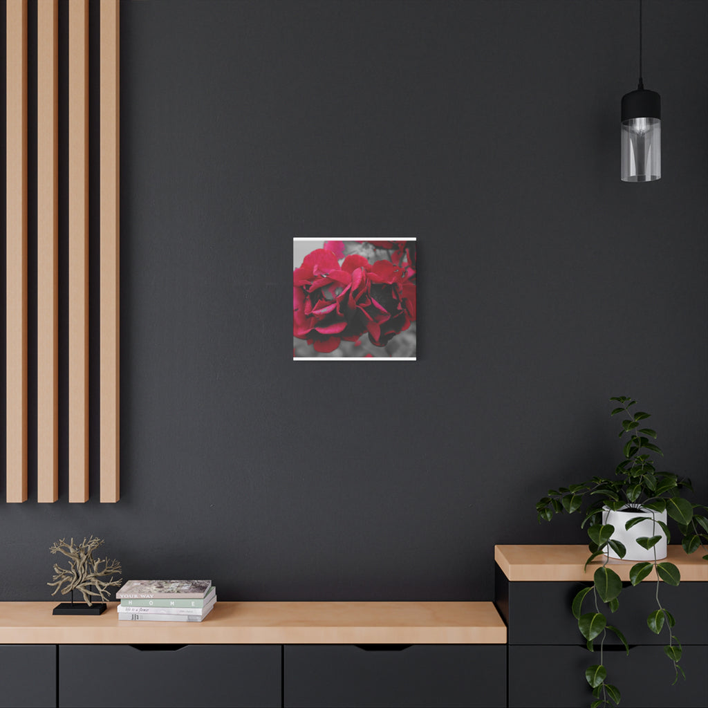 Red Rose Close-Up Matte Canvas Wall Art – Romantic Floral Stretched Canvas