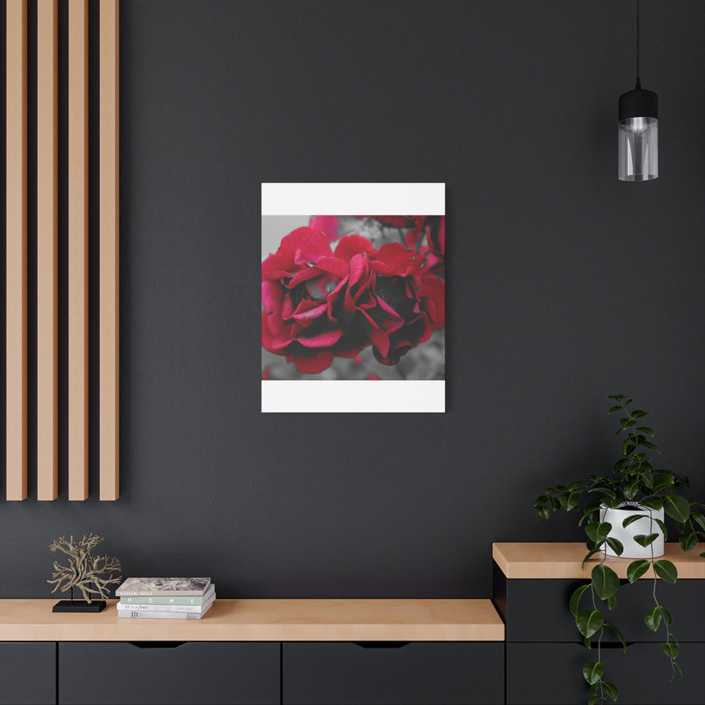 Red Rose Close-Up Matte Canvas Wall Art – Romantic Floral Stretched Canvas