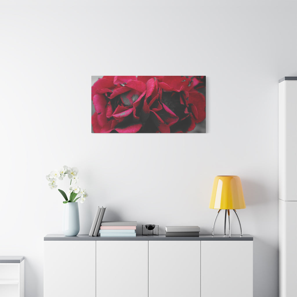 Red Rose Close-Up Matte Canvas Wall Art – Romantic Floral Stretched Canvas