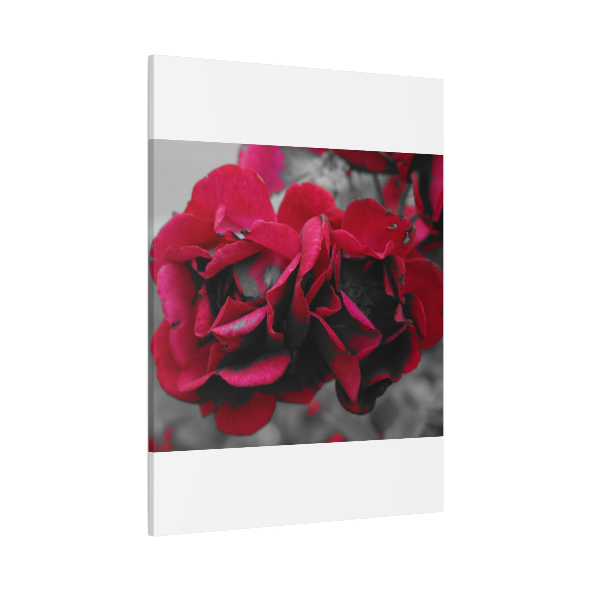 Red Rose Close-Up Matte Canvas Wall Art – Romantic Floral Stretched Canvas