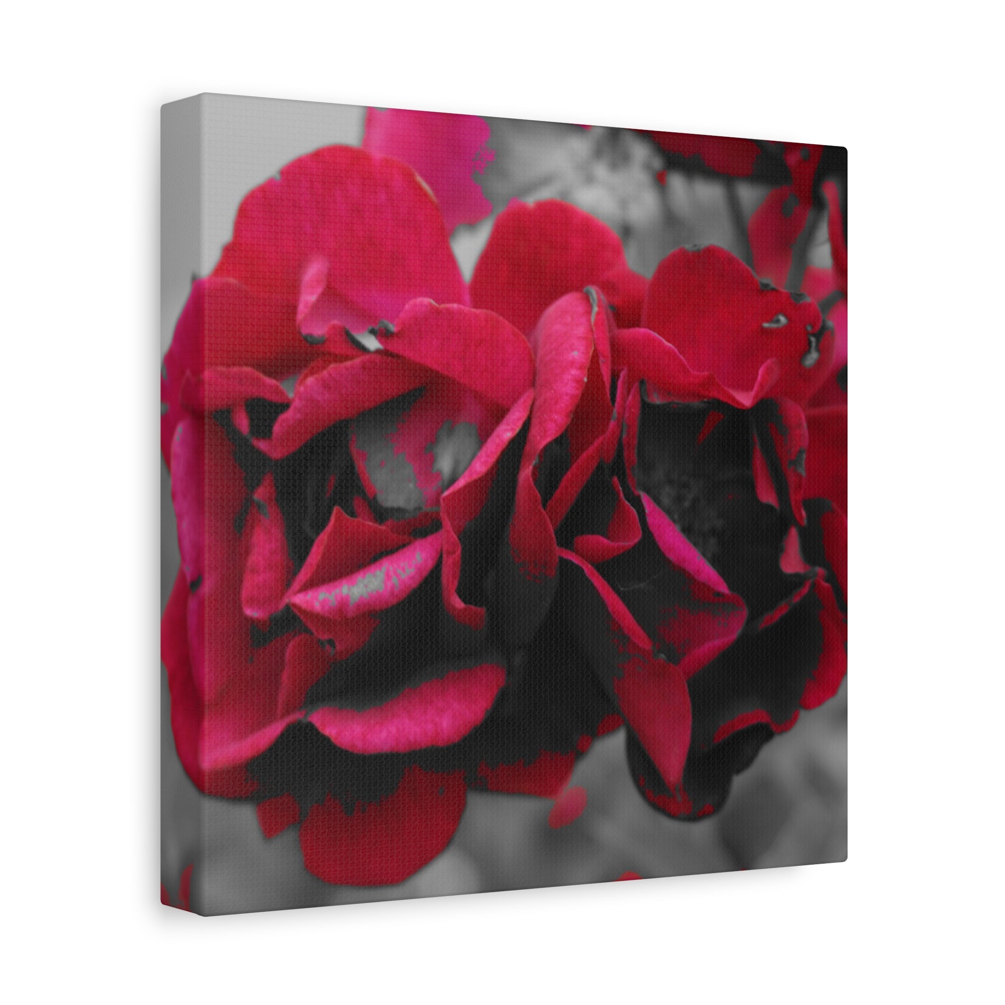 Red Rose Close-Up Matte Canvas Wall Art – Romantic Floral Stretched Canvas
