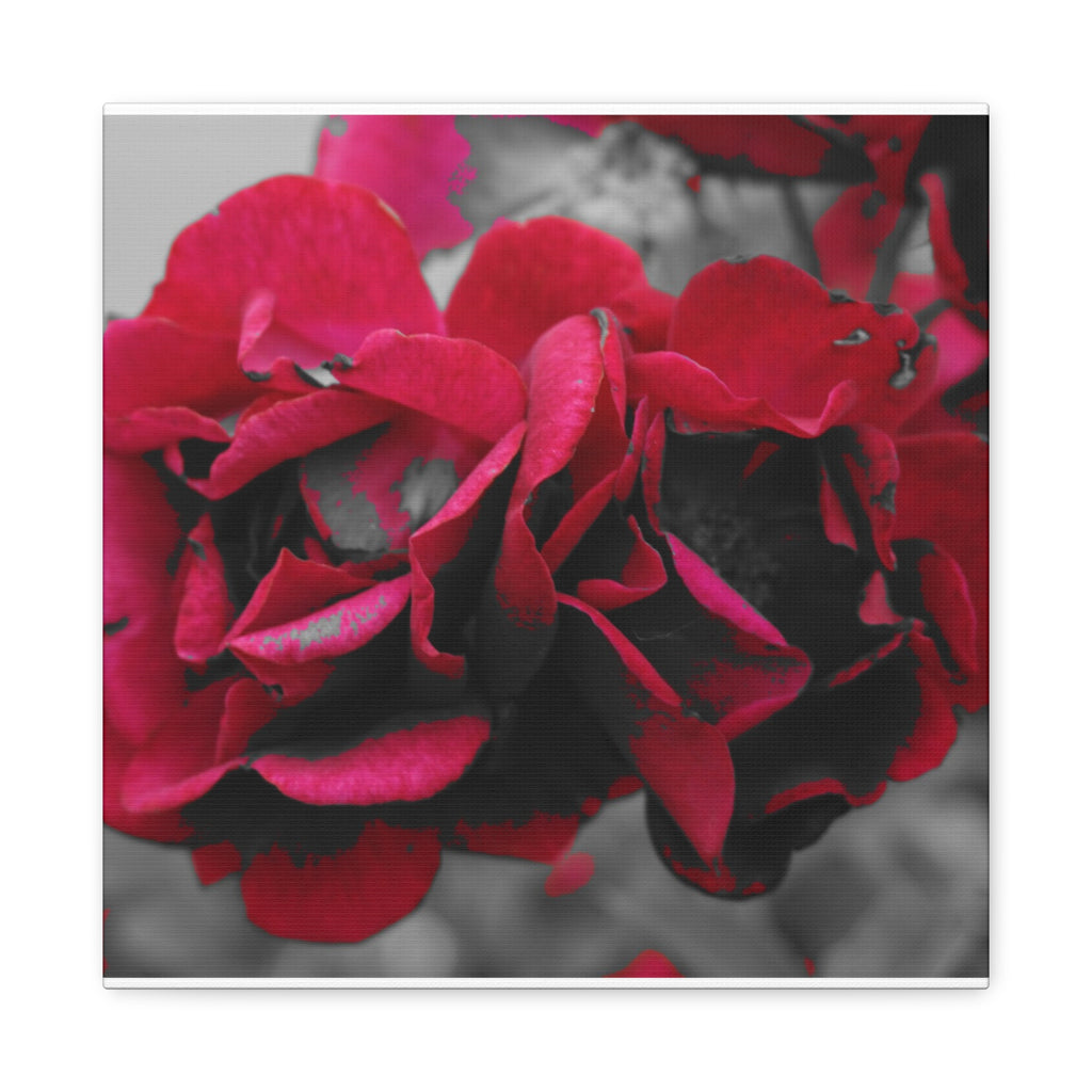 Red Rose Close-Up Matte Canvas Wall Art – Romantic Floral Stretched Canvas
