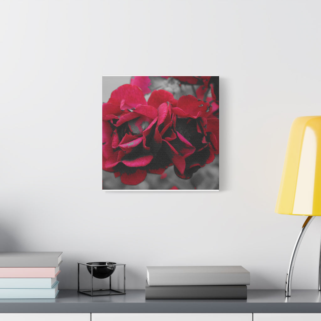 Red Rose Close-Up Matte Canvas Wall Art – Romantic Floral Stretched Canvas