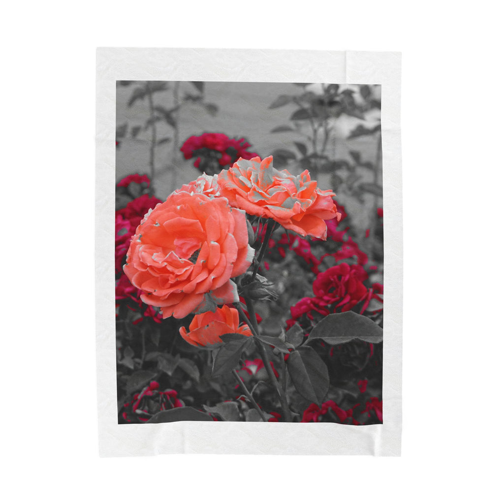 Coral Roses Velveteen Plush Blanket — Soft Floral Throw for Home, Gift for Her