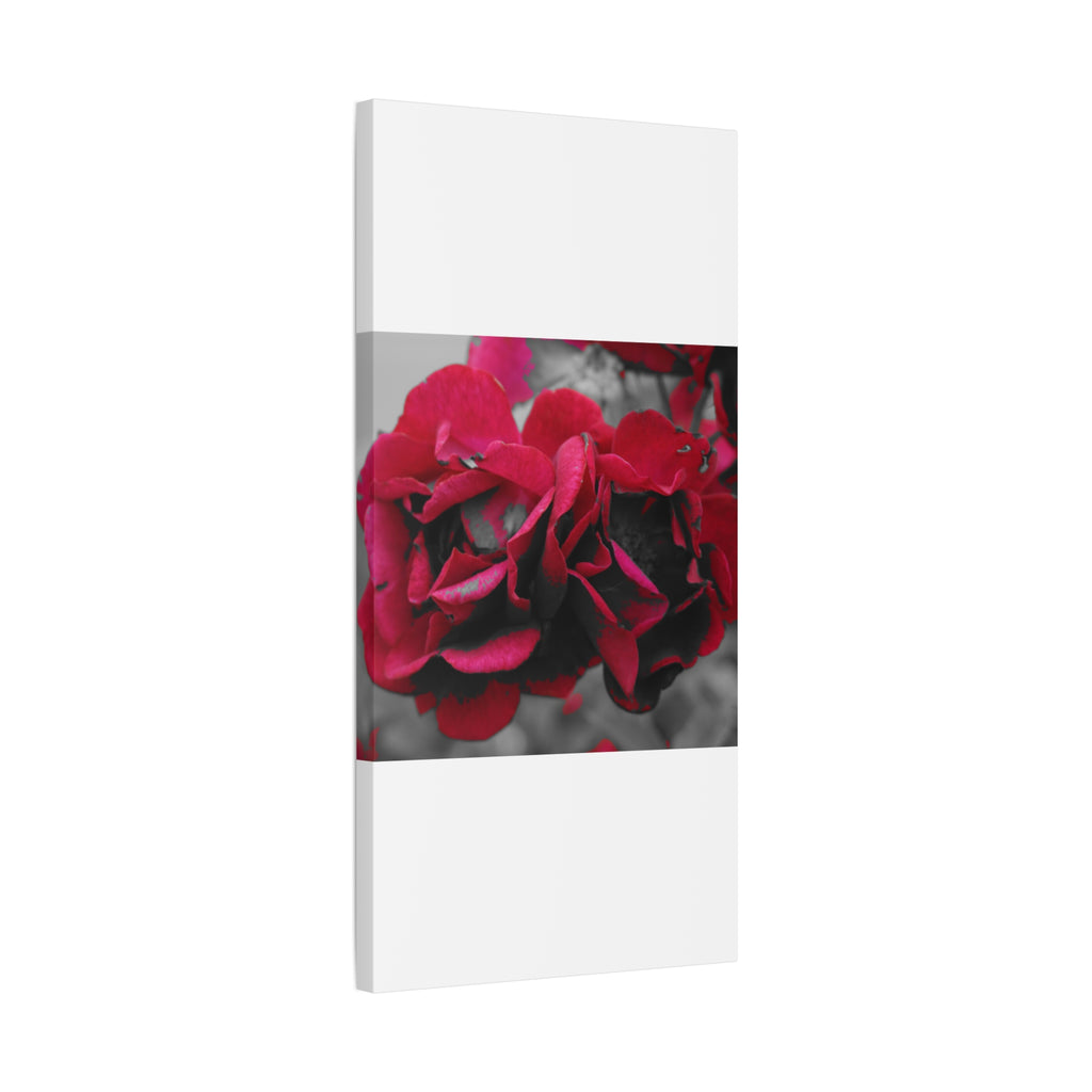 Red Rose Close-Up Matte Canvas Wall Art – Romantic Floral Stretched Canvas