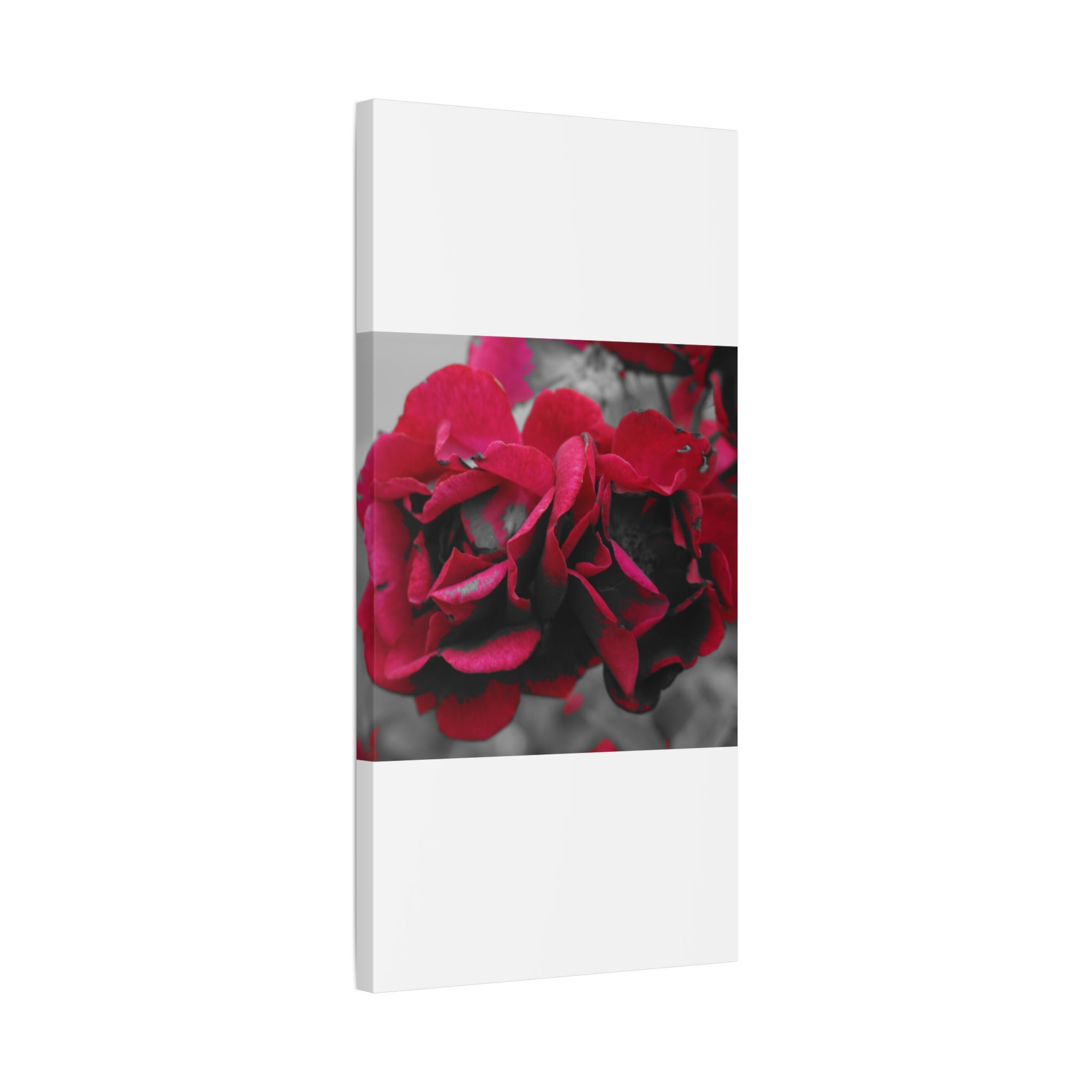 Red Rose Close-Up Matte Canvas Wall Art – Romantic Floral Stretched Canvas