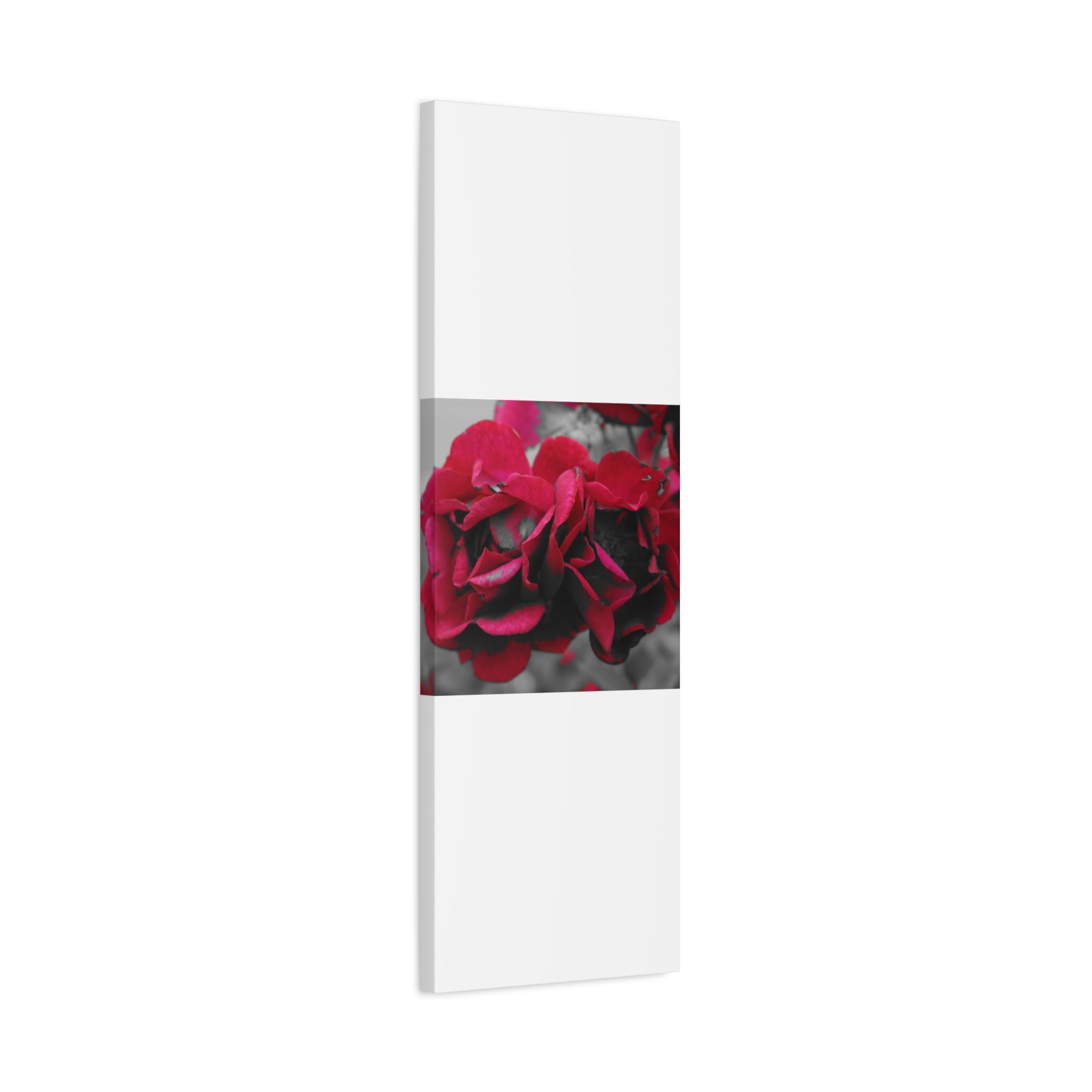 Red Rose Close-Up Matte Canvas Wall Art – Romantic Floral Stretched Canvas