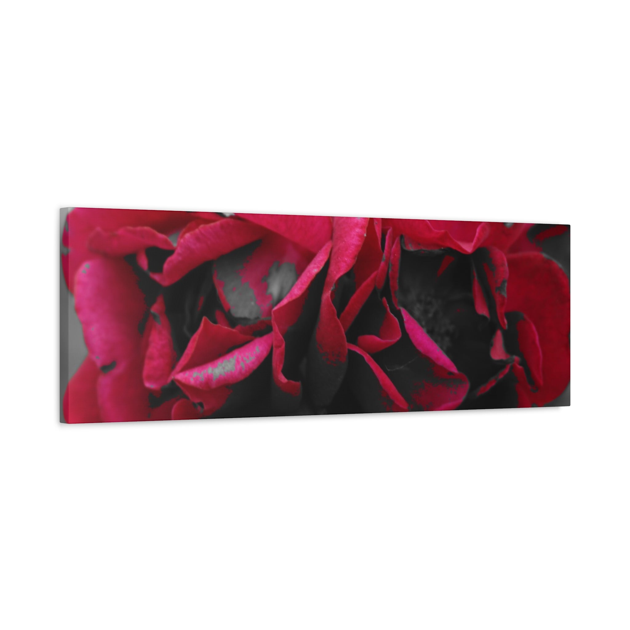 Red Rose Close-Up Matte Canvas Wall Art – Romantic Floral Stretched Canvas
