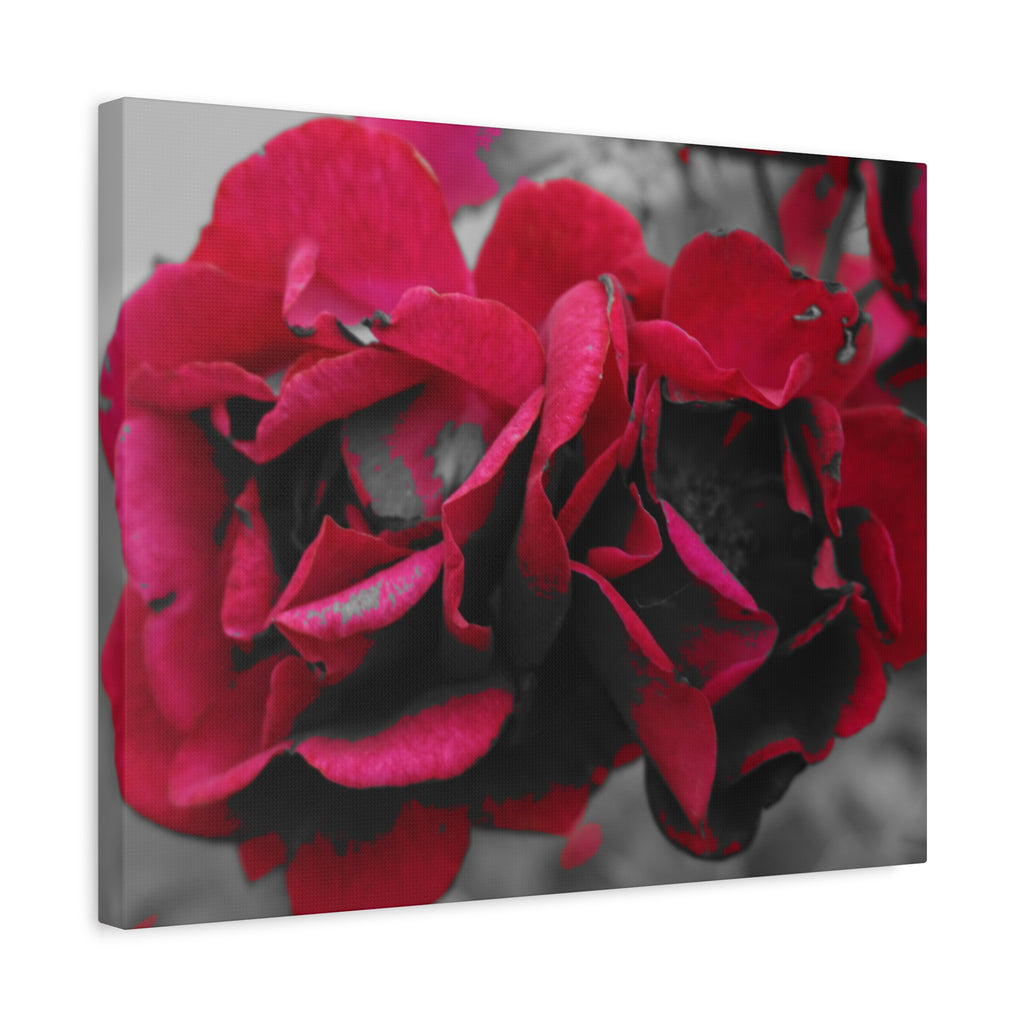 Red Rose Close-Up Matte Canvas Wall Art – Romantic Floral Stretched Canvas
