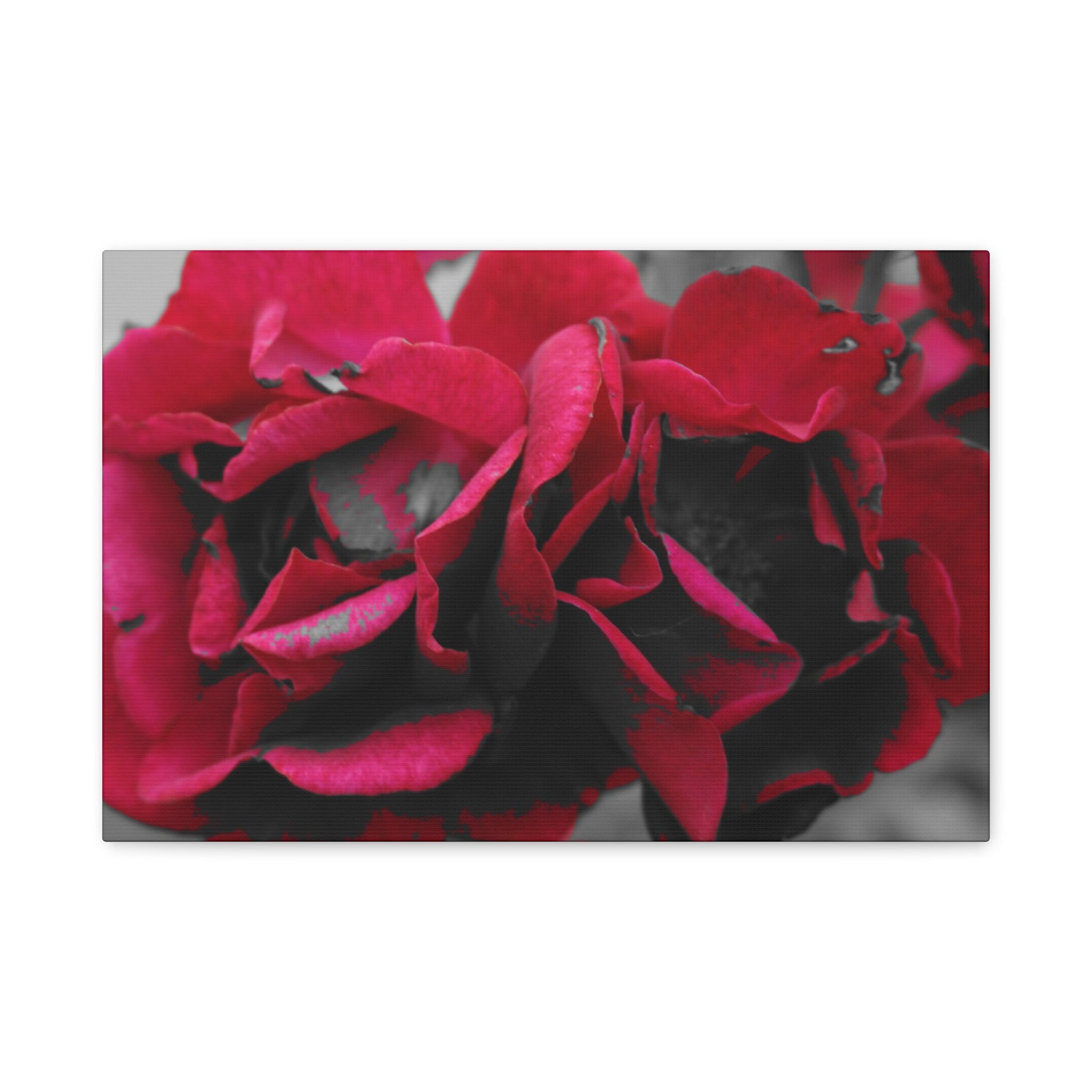 Red Rose Close-Up Matte Canvas Wall Art – Romantic Floral Stretched Canvas
