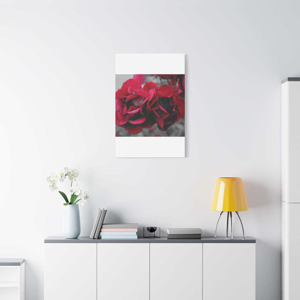 Red Rose Close-Up Matte Canvas Wall Art – Romantic Floral Stretched Canvas